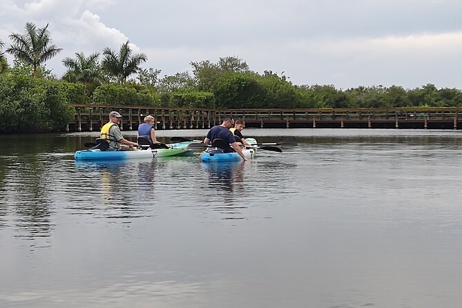 1-Hour Single Kayak Rental With Manatee & Dolphin Sightings - Wildlife Sightings