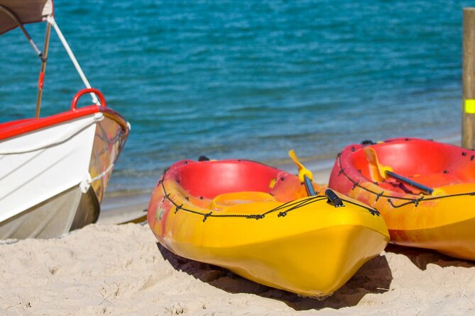 1 Hour Single or Double Kayak Rental to the Nth Bribie Island - Key Points