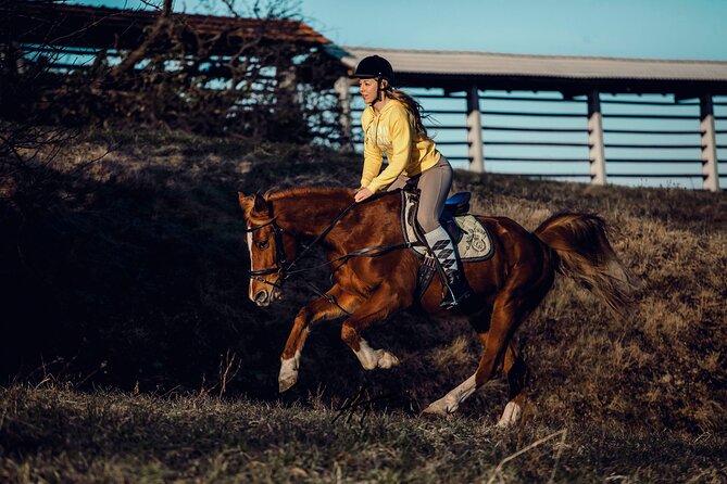 1-Hour Small-Group Horseback Riding Guided Activity From Ljubljana - About Your Stay