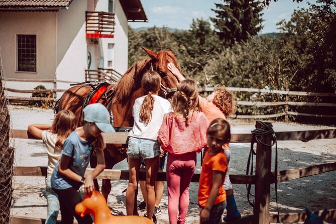 1-Hour Small-Group Horseback Riding Guided Activity From Ljubljana - Meeting Details and Directions