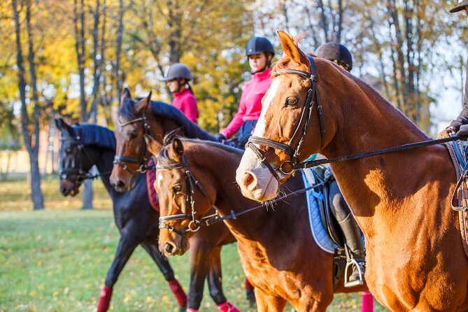 1-Hour Small-Group Horseback Riding Guided Activity From Ljubljana - Preparing for the Horseback Ride