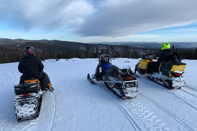 1-Hour Snowmachine Tour - Group Size and Pricing