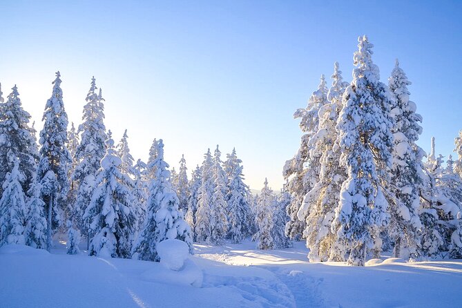 1-Hour Snowmobile Safari Adventure in Rovaniemi - Meeting and Pickup Details