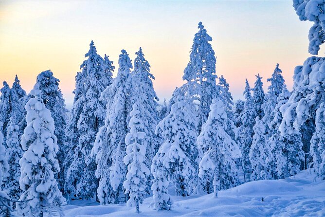 1-Hour Snowmobile Safari Adventure in Rovaniemi - Exploring Finnish Lapland
