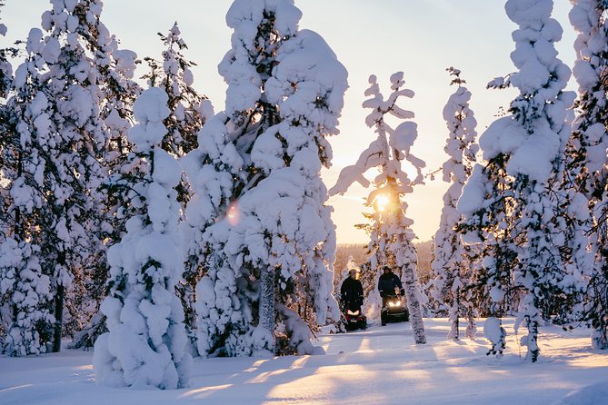 1-Hour Snowmobile Safari Experience - Meeting and Safety Details