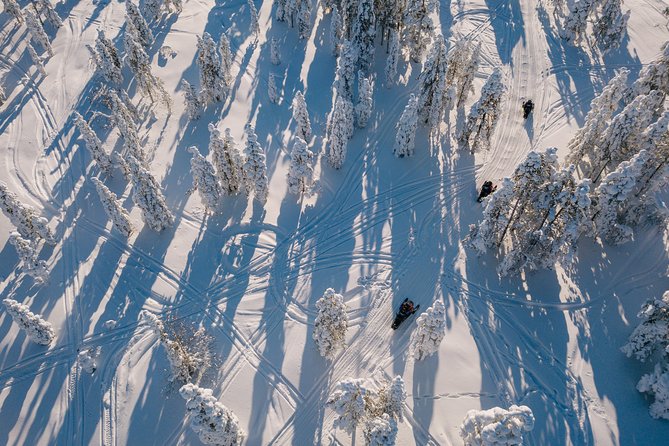 1-Hour Snowmobile Safari Experience - Lost Items and Belongings