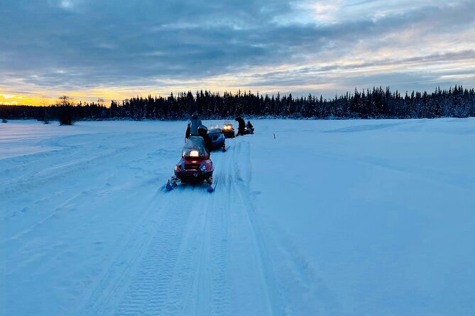 1 Hour Snowmobile Tour in Fairbanks Alaska - Experiences on the Tour