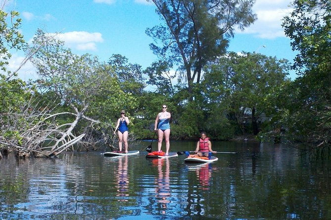 1 Hour Stand up Paddle Board Lesson for Beginners With 1 on 1 Instructor Guide - Safety and COVID-19 Precautions