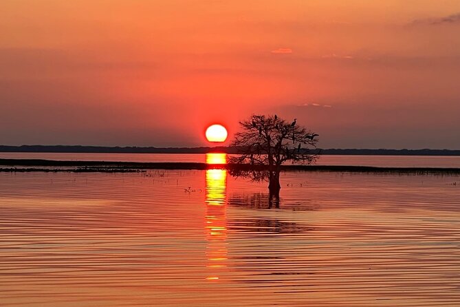 1-Hour Sunset Airboat Ride Near Orlando - Additional Tour Details