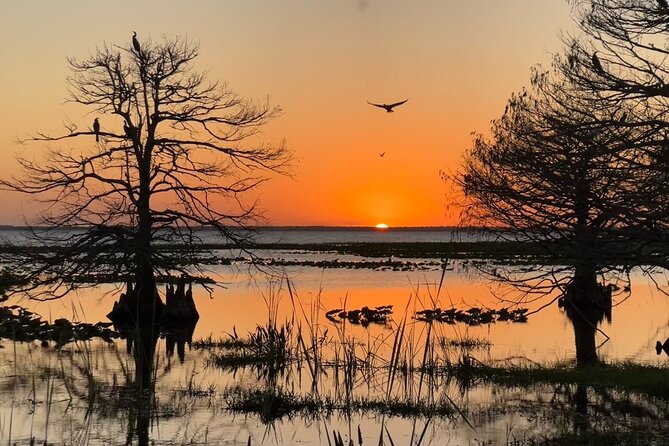 1-Hour Sunset Airboat Ride Near Orlando - Suitability and Accessibility