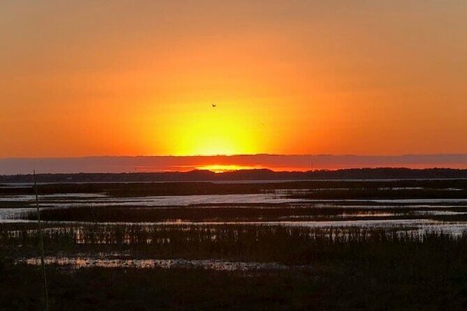 1 Hour Sunset Airboat Tour - Key Points