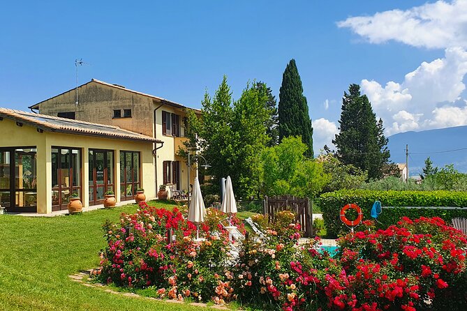 1 Hour Tasting of Artisan Liqueurs in the Umbrian Countryside - Booking Information and Pricing