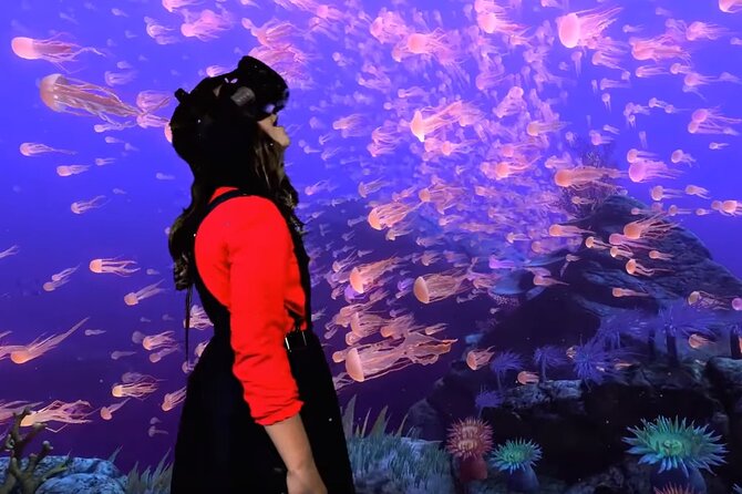 1 Hour VR Gaming Experience in Bournemouth - Variety of VR Titles Available