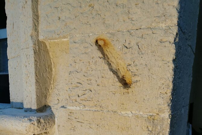 1 Hour Walking Tour The Ancient Jewish Quarter in Lecce - Positive Traveler Reviews