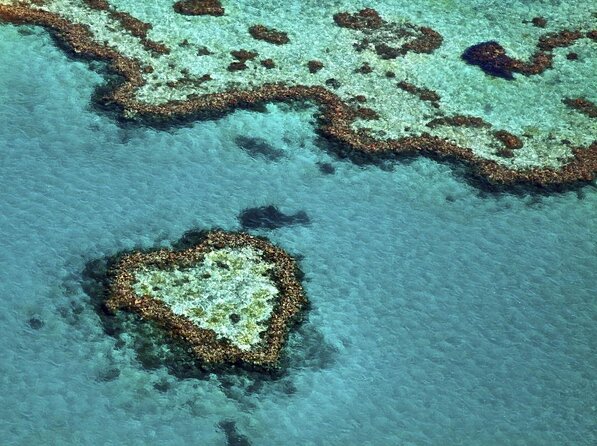 1-Hour Whitsunday Islands and Heart Reef Scenic Flight - Inclusions and Amenities