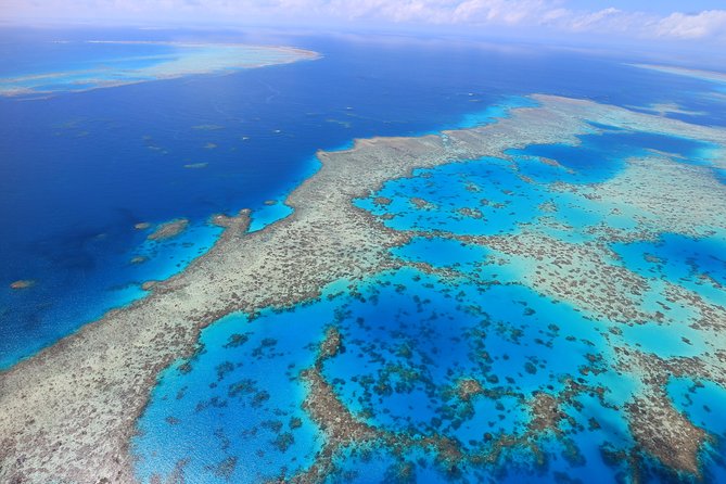 1-Hour Whitsunday Islands and Heart Reef Scenic Flight - Tour Reviews and Ratings