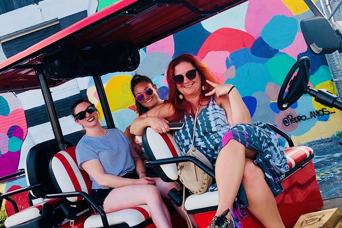 1 Hour Wynwood Street Art Tour - Whats Included