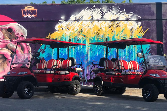 1 Hour Wynwood Street Art Tour - Additional Information