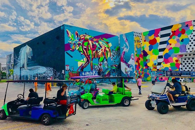 1 Hour Wynwood Street Art Tour - Exploring Wynwoods Murals