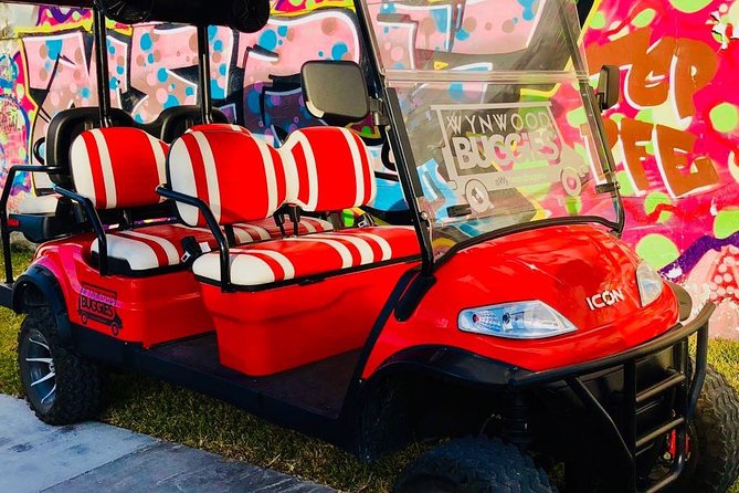 1 Hour Wynwood Street Art Tour - Experiencing the Tour