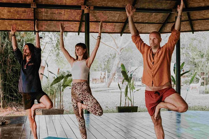 1 Hour Yoga Class in Luang Prabang - Accessibility and Participation