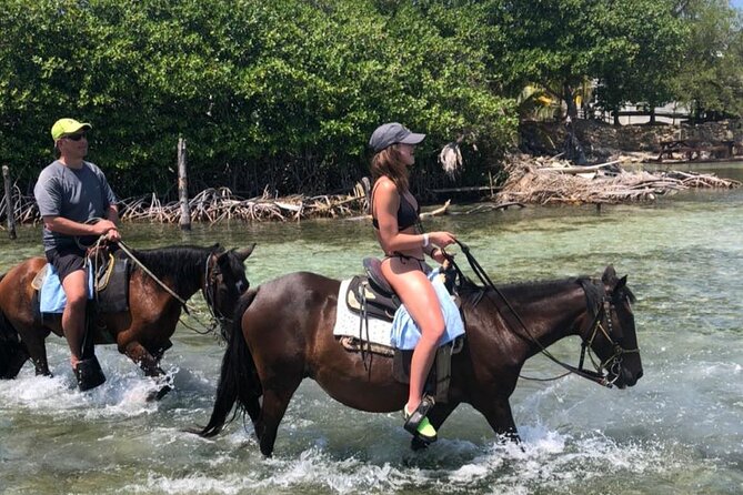1 HR Horseback Riding + Sloths, Island Tour & Beach Break - Key Points