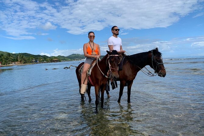 1 HR Horseback Riding + Sloths, Island Tour & Beach Break - Exploring Roatans Scenic Landscapes