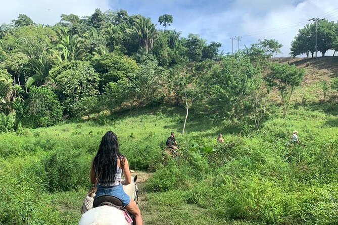 1 HR Horseback Riding + Sloths, Island Tour & Beach Break - Refreshing Beach Break Experience