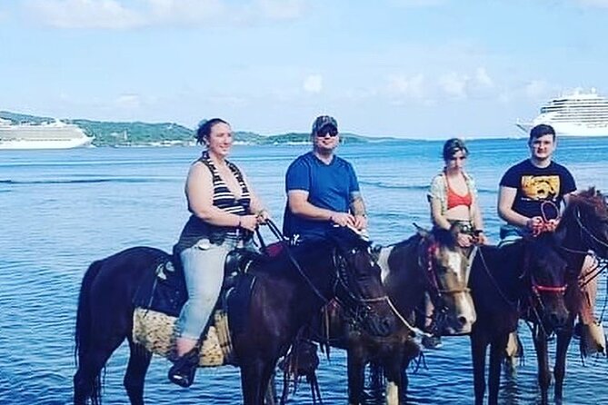 1 HR Horseback Riding + Sloths, Island Tour & Beach Break - Tour Highlights and Inclusions