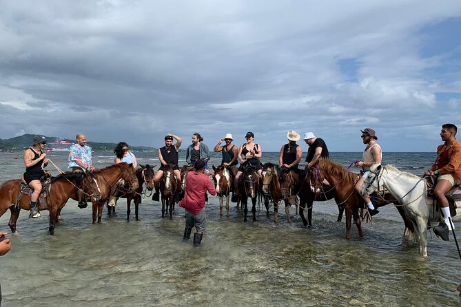 1 HR Horseback Riding + Sloths, Island Tour & Beach Break - Health and Safety Considerations