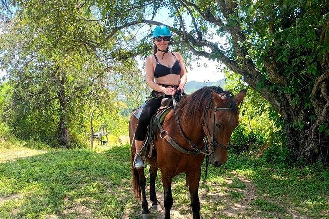 1 HR Horseback Riding + Sloths, Island Tour & Beach Break - Booking and Cancellation Policy