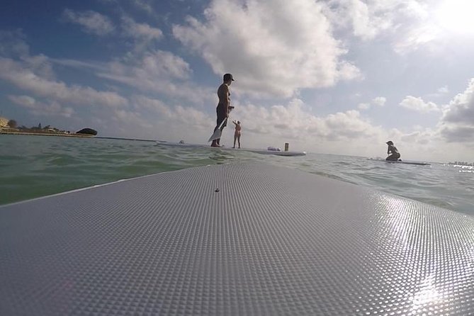 1-Hr Stand up Paddling X 4 in Miami - Key Points