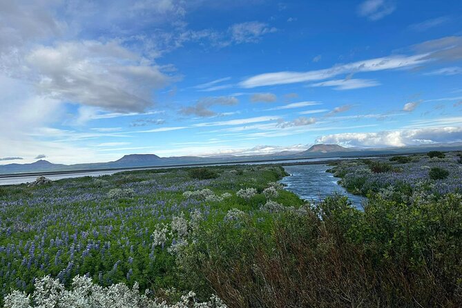 1 Hrs ATV Quad Trip Down With Glacier River Northeast of Iceland - Accessibility and Participation
