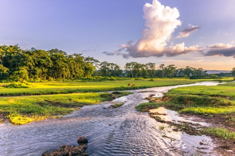 1 Night 2 Day Chitwan Safari Tour Pokhara - Key Points