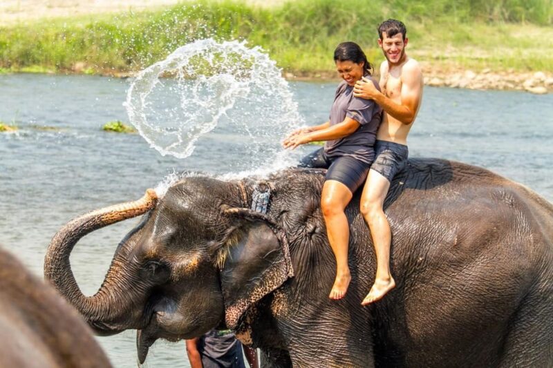 1 Night 2 Day Chitwan Safari Tour Pokhara - Itinerary Highlights