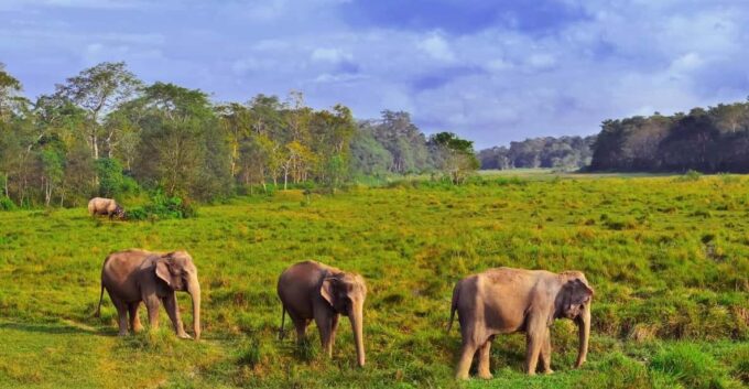 1 Night 2 Day Chitwan Safari Tour Pokhara - Frequently Asked Questions