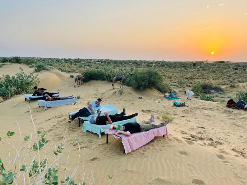 1 Night 2 Day Thar Desert Experience & Village Lifestyle - Inclusions and Amenities