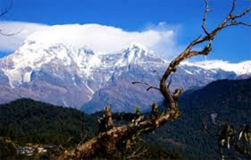 1 Night 2 Days Camping Tour at Australian Camp (Trek) - Key Points