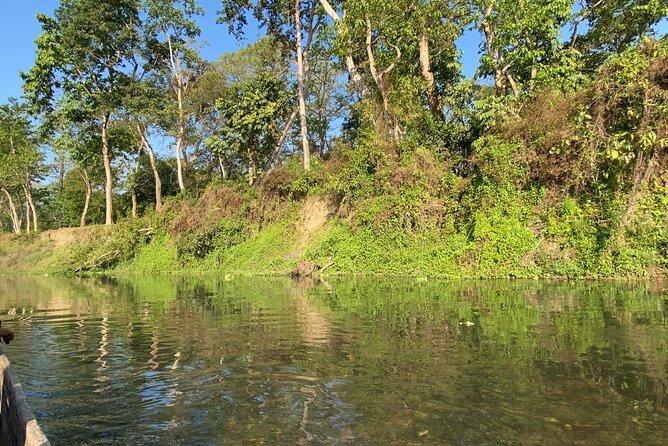 1 Night 2 Days Chitwan Jungle Safari Tour - Pricing and Booking