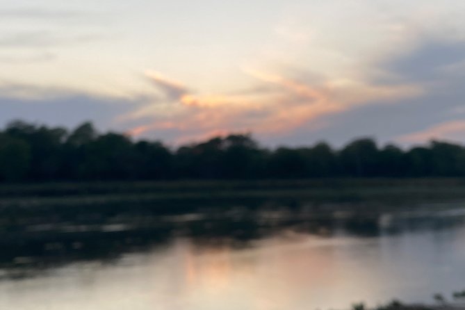1 Night 2 Days Chitwan Jungle Safari Tour - Highlights of the Safari