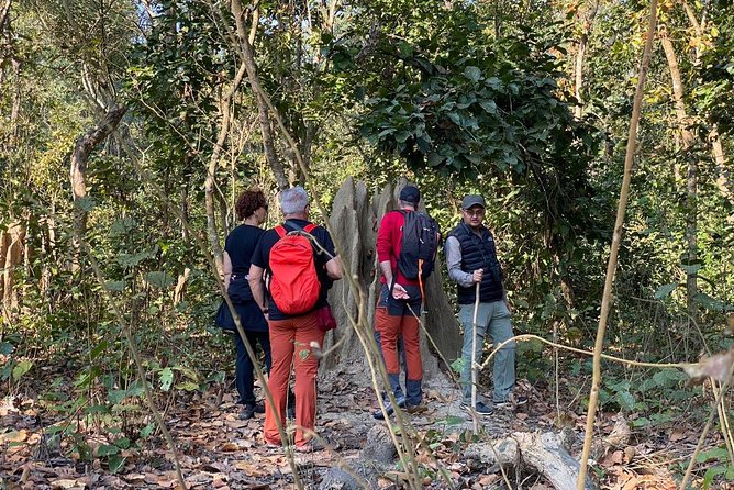 1 Night 2 Days Chitwan Jungle Safari Tour From Kathmandu - Inclusions and Exclusions