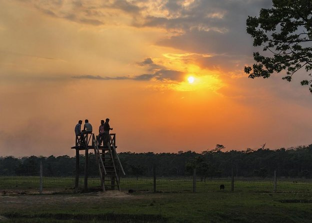 1 Night 2 Days Chitwan Jungle Safari Tour From Pokhara or Kathmandu - Key Points