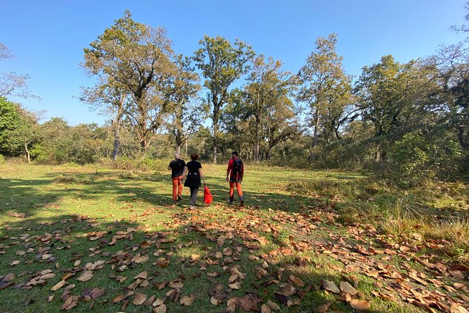 1 Night 2 Days Chitwan Jungle Safari Tour From Pokhara or Kathmandu - Transportation