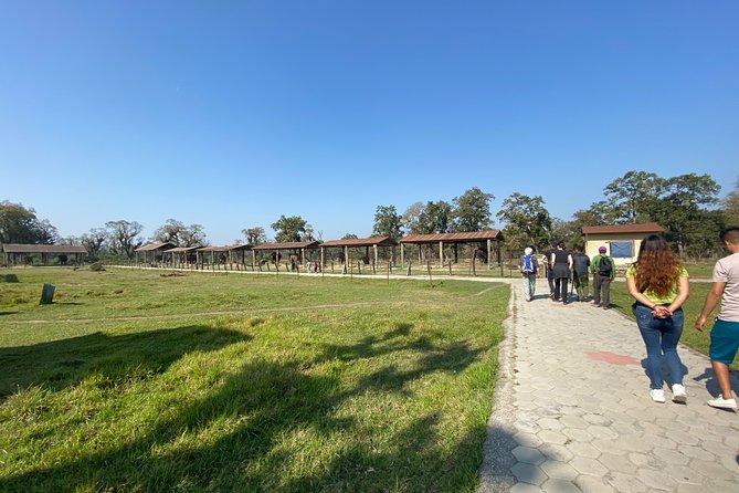 1 Night 2 Days Chitwan Jungle Safari Tour From Pokhara or Kathmandu - Reviews and Ratings