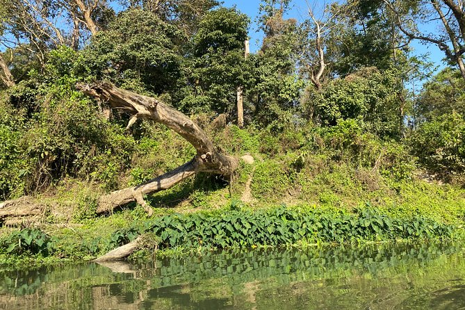 1 Night 2 Days Chitwan Safari Tour - Package Inclusions