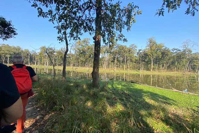 1 Night 2 Days Chitwan Safari Tour - Meeting and Pickup