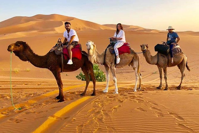 1 Night All Inclusive Camel Ride & Desert Camp - Tour Overview