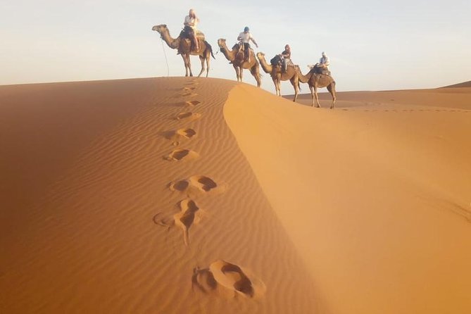 1 Night All Inclusive Camel Ride & Desert Camp - Meeting and Pickup