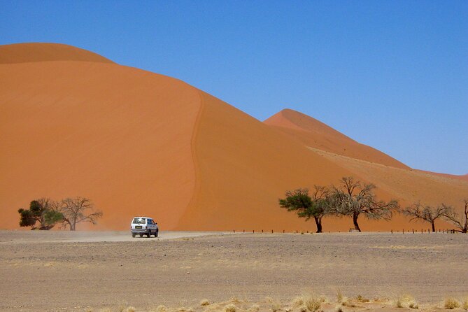 1 Night All Inclusive Camel Ride & Desert Camp - Tour Details