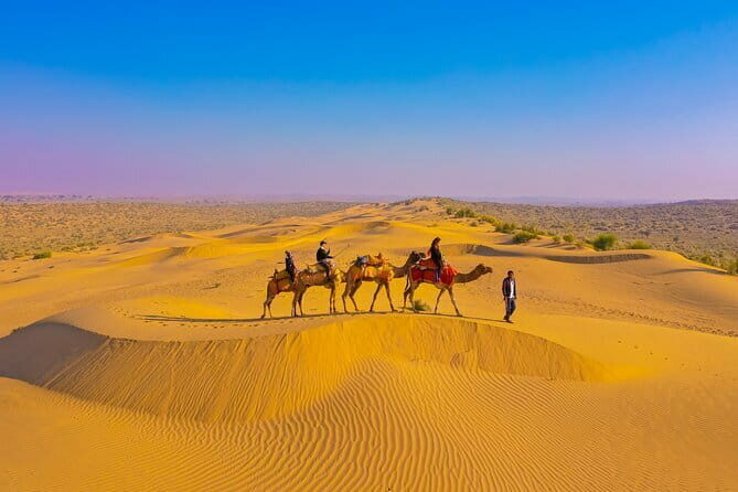 1-Night and 2-Days Thar Desert Safari Tour - In The Sum Up